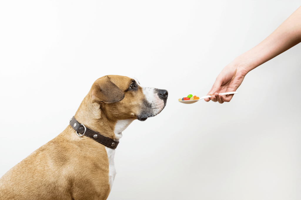 vutamins for dogs