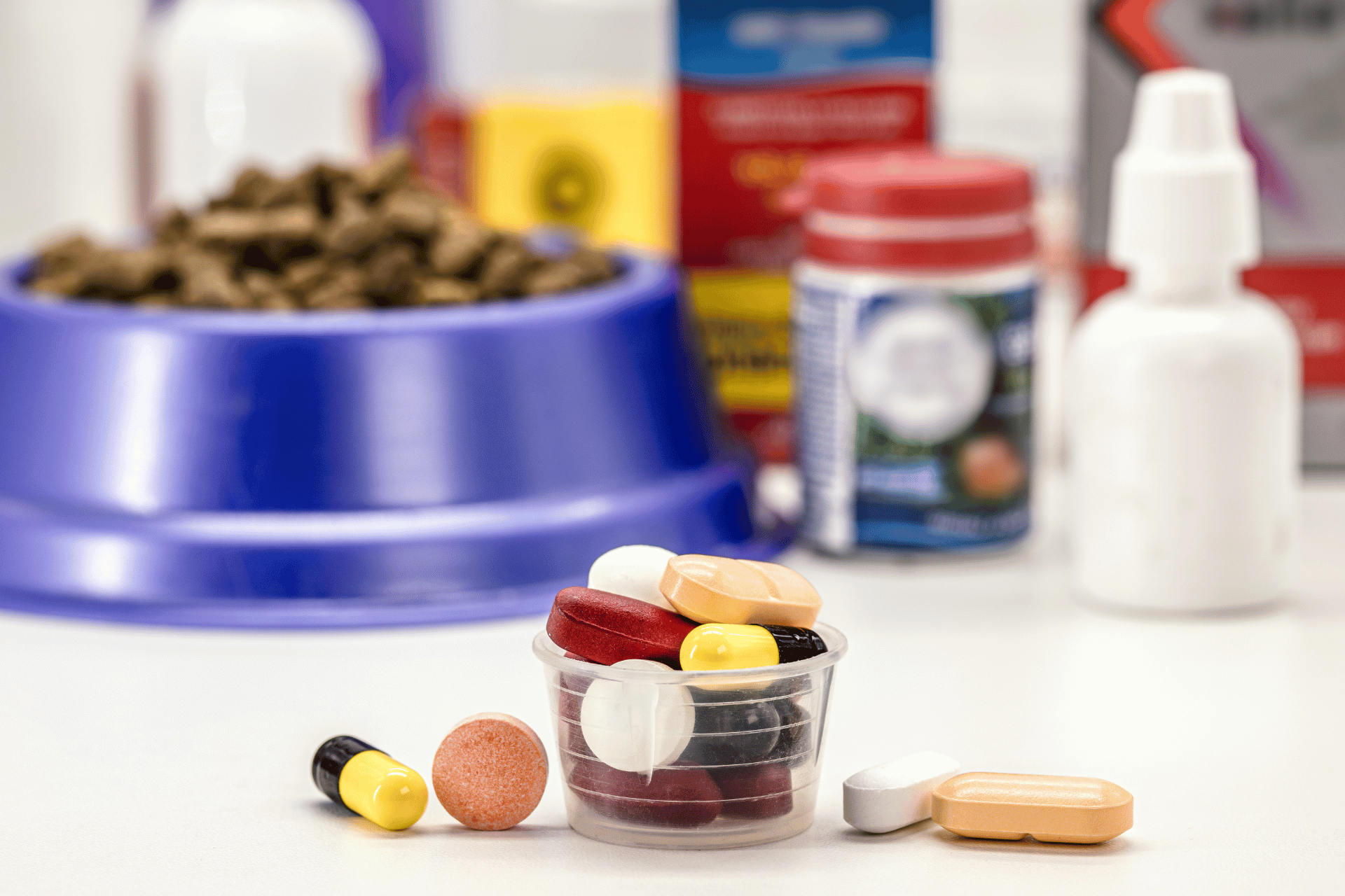 pet vitamins and supplements