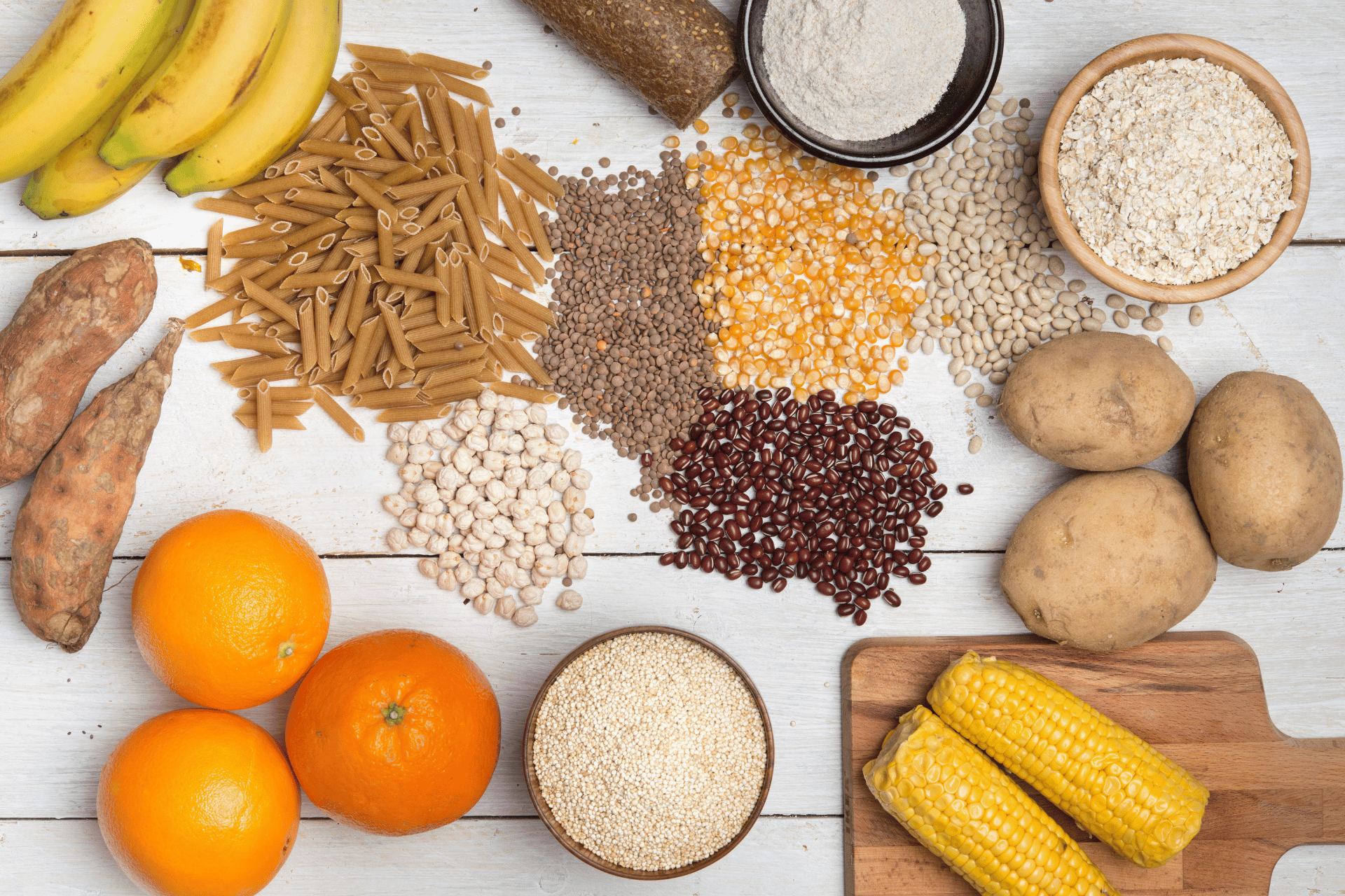 Carbohydrates in Dog Nutrition