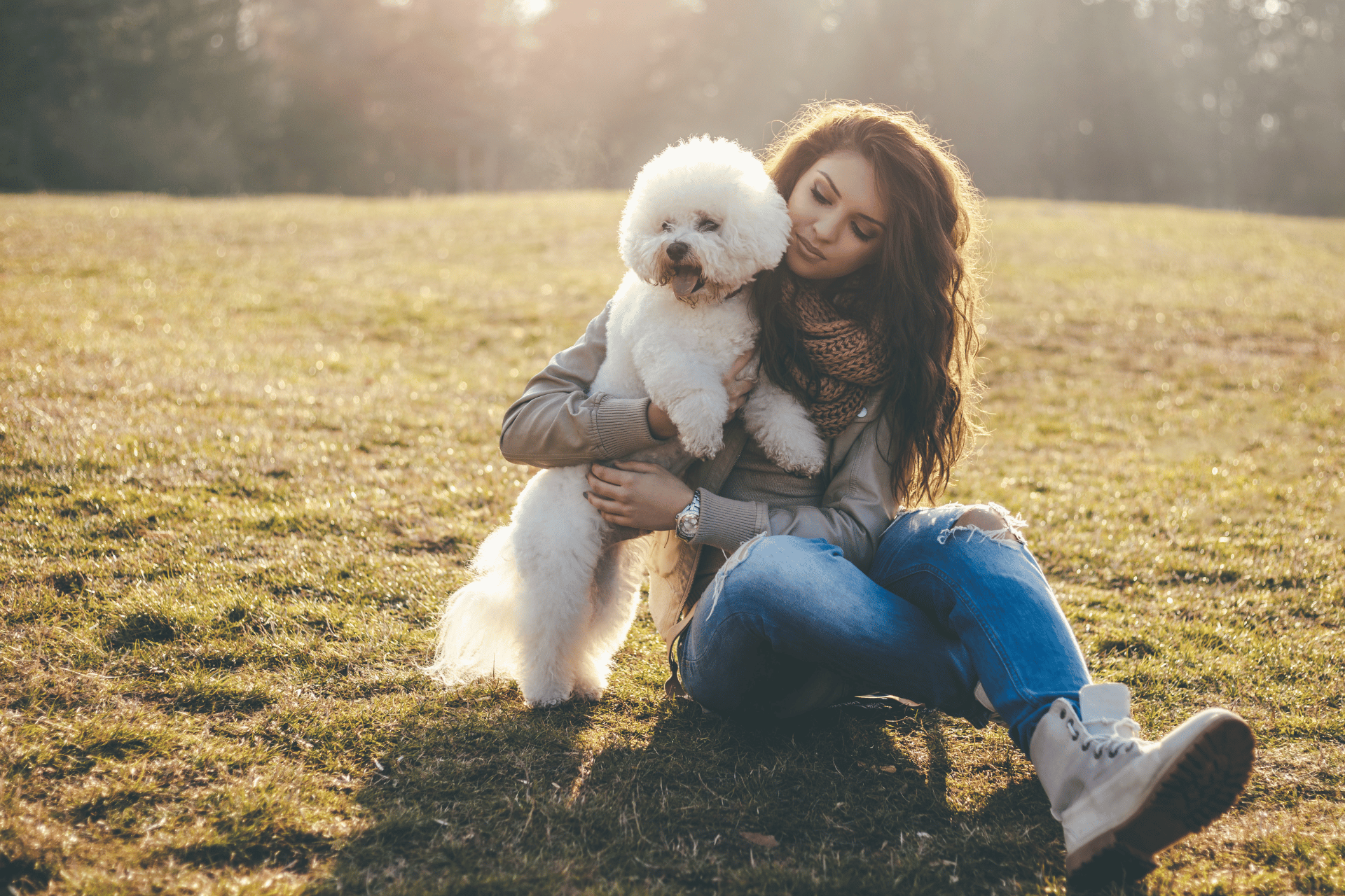 how much should i feed my dog