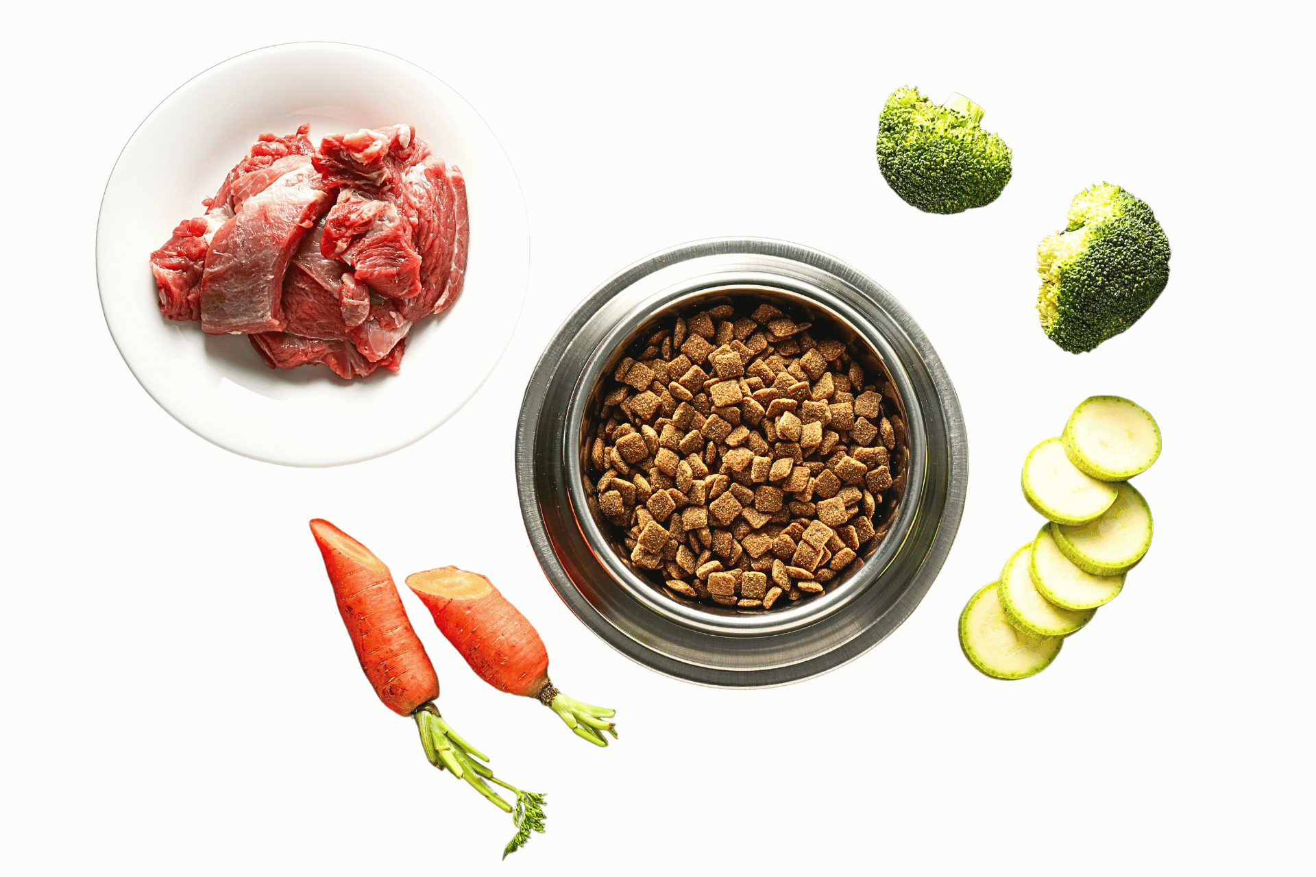 types of dog food