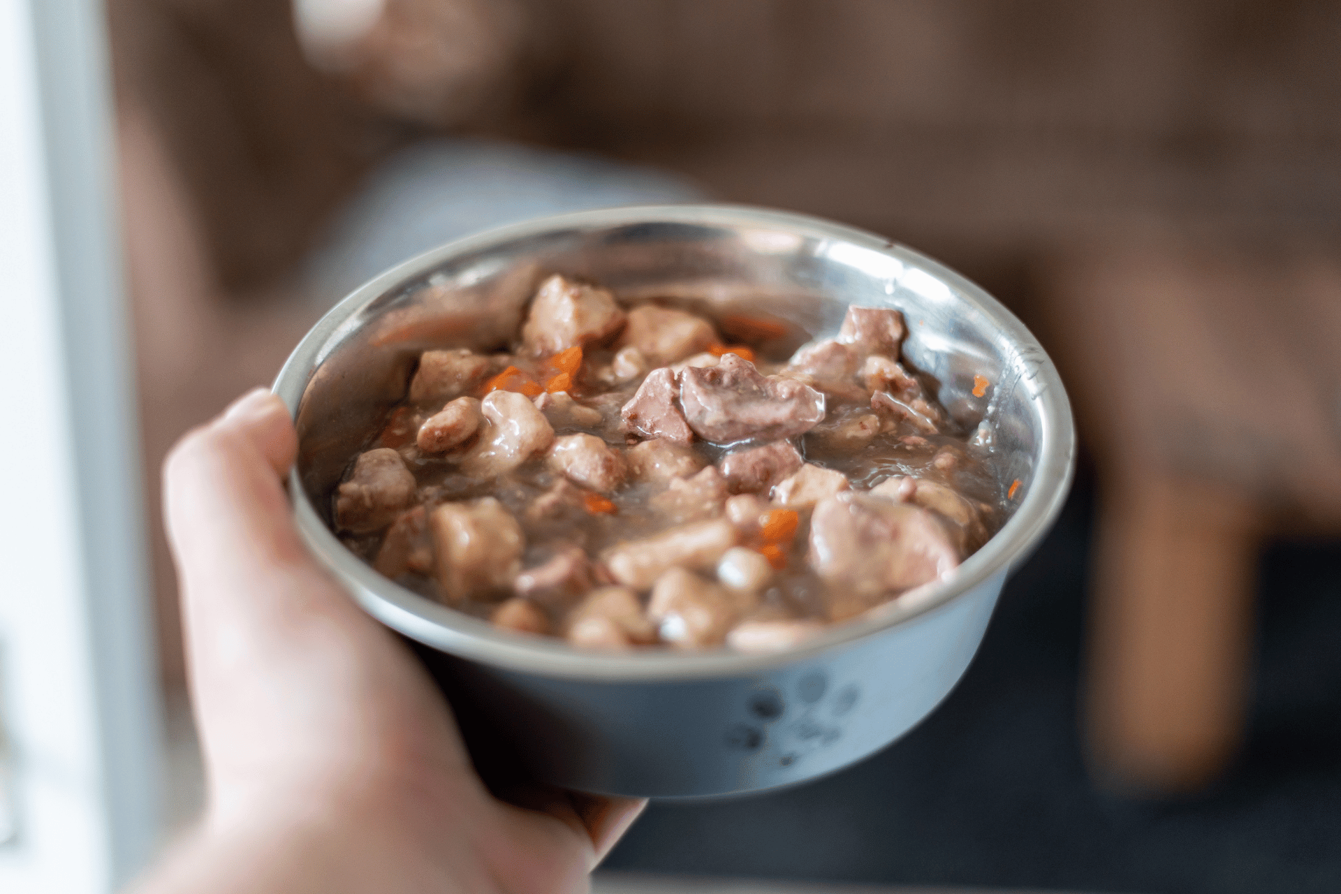 wet dog food