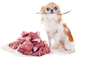 best dog food for small breeds