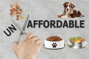 best quality affordable dog food
