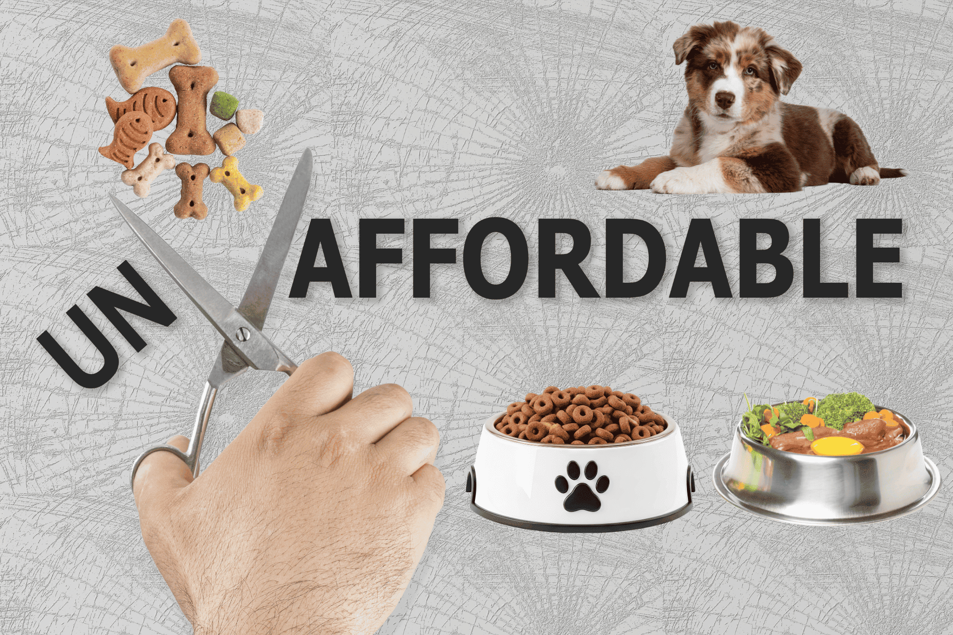 best quality affordable dog food