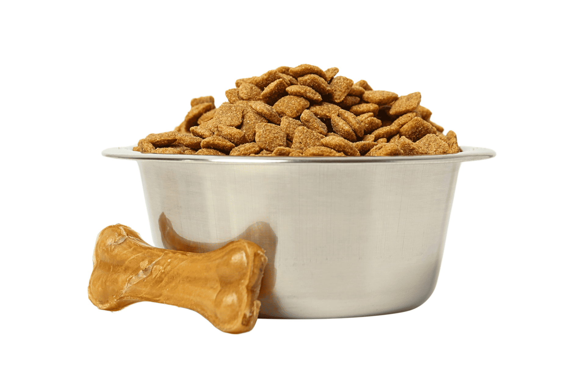 dry dog food