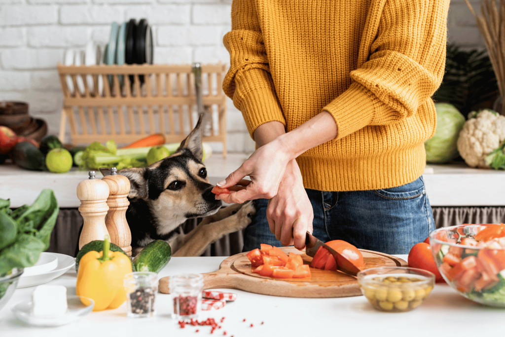 healthy homemade dog food