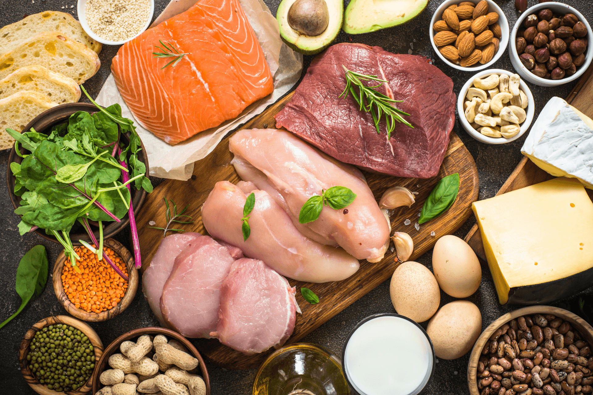 high protein dog food