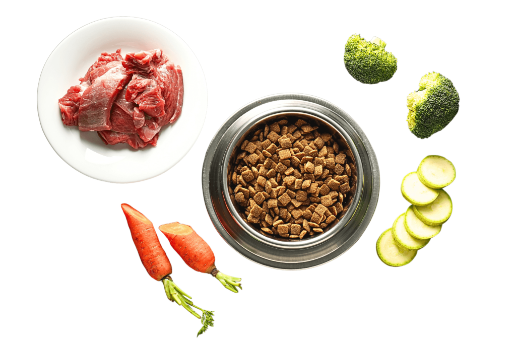 high quality puppy food